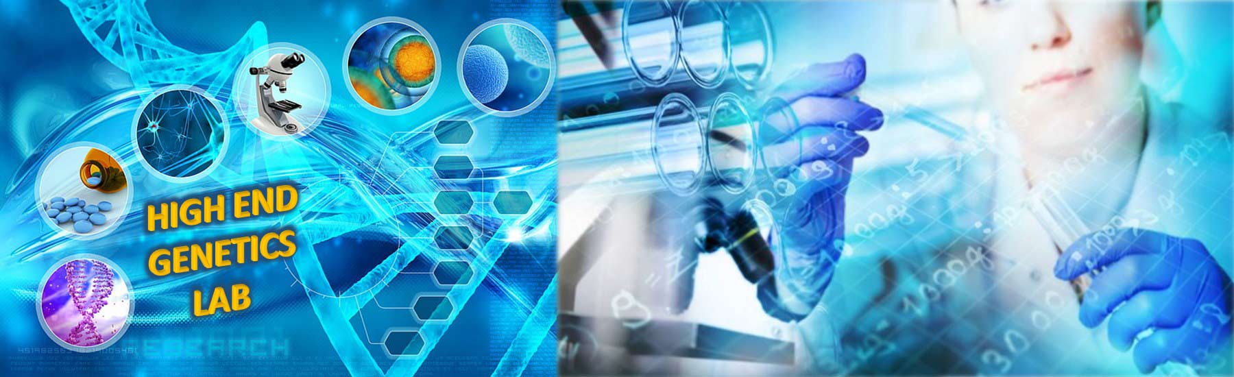 rtpcr test